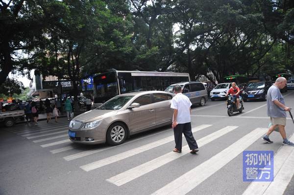 礼让斑马线,文明更安全网络直播首见 你是怎