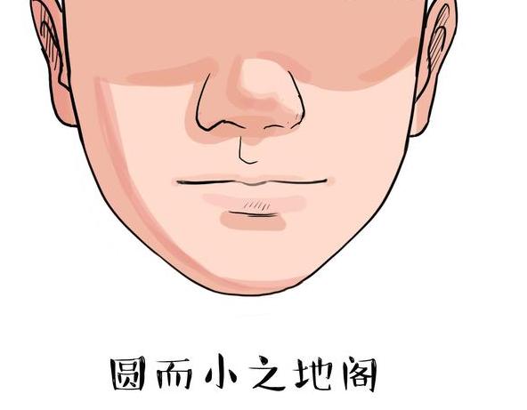 因为下半张脸主要指鼻子和下巴,财帛宫长在鼻子上,地阁长在下巴上.