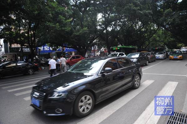 礼让斑马线,文明更安全网络直播首见 你是怎