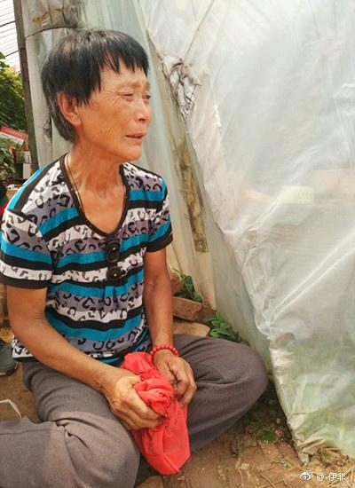 葡萄熟了,爱心助力清徐果农走出绝境