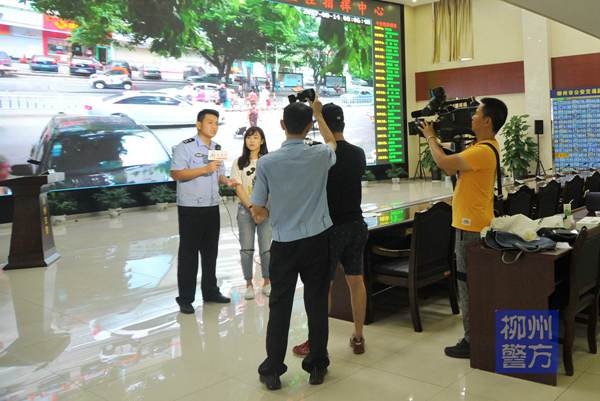 礼让斑马线,文明更安全网络直播首见 你是怎