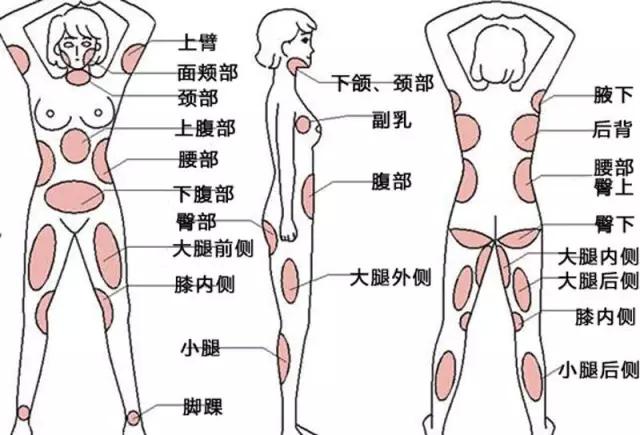 脂肪的组成成分是氧、氢、碳三种元素