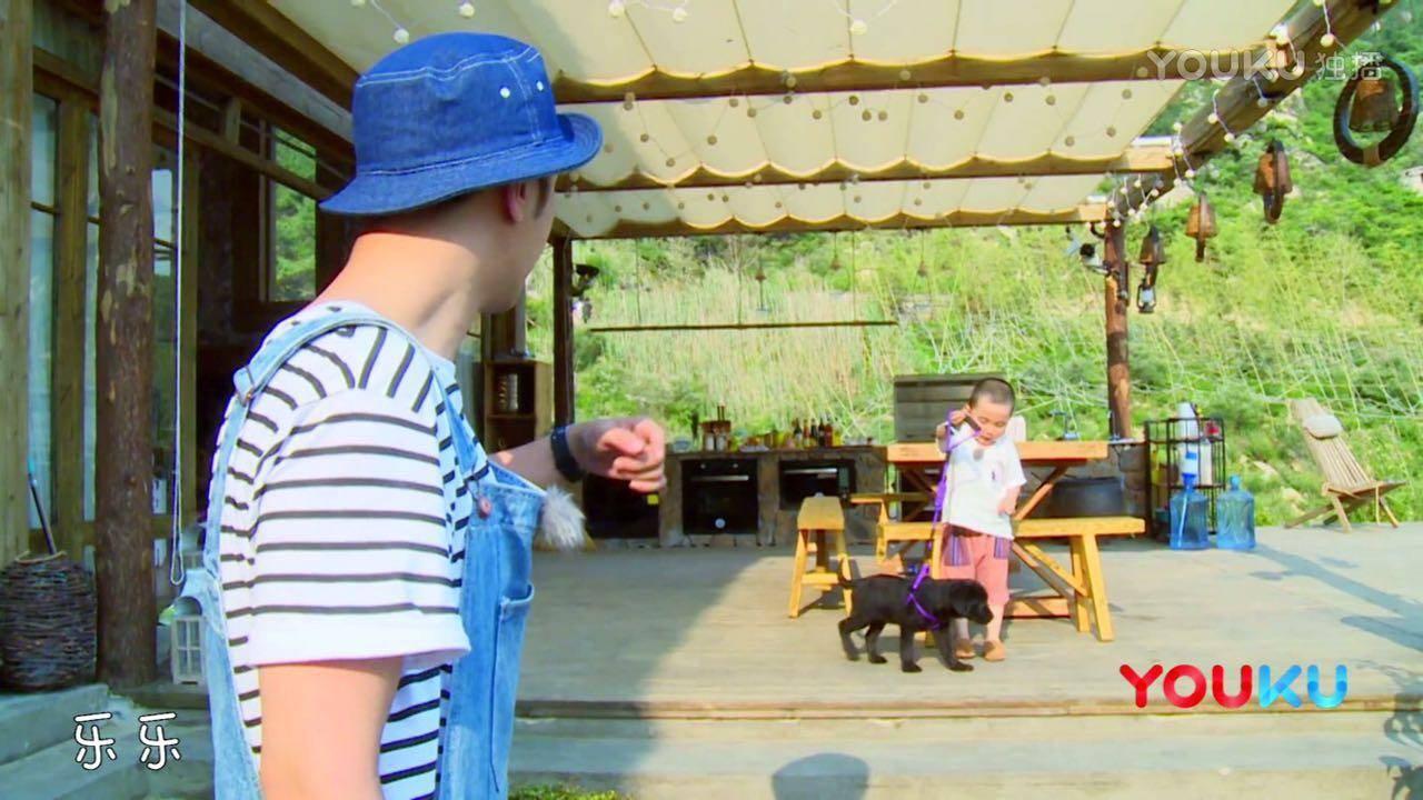 《小手牵小狗》优酷首播获赞