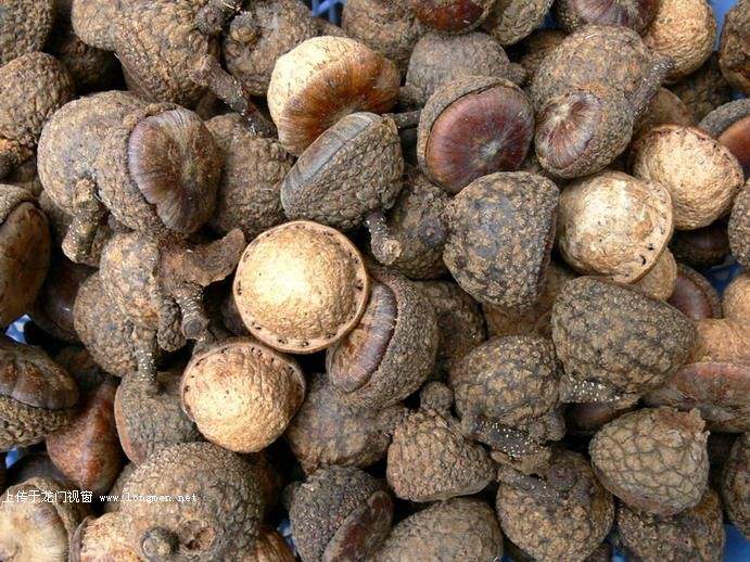 这个名字恶俗的小果子竟是印度神油的原材料！