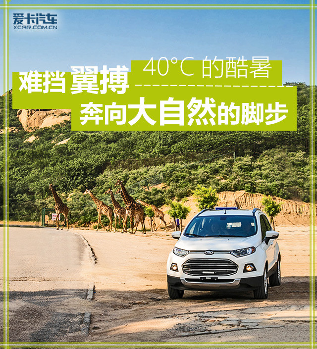 40°C的酷暑 难挡翼搏奔向大自然的脚步