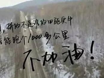 一箱油1000公里？没混动这些省油的B级车也能做到！