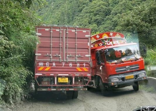 撞死藏香猪赔偿2万元 老司机在西域开车的那些事