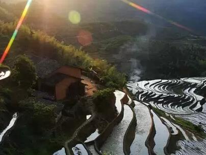 于朦胧杨幂关系揭秘