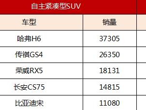 14万SUV不要买合资买国产？比比就知道了
