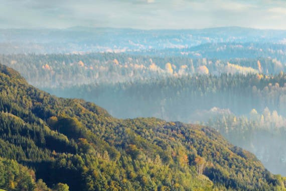 [新车亮点]斯柯达明锐旅行车/新明锐[组图]