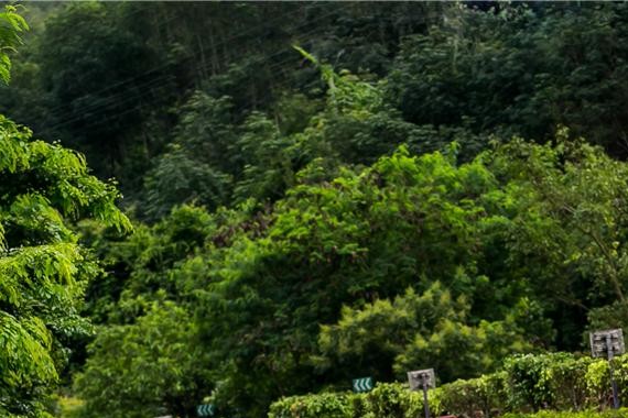 云贵高原跑一转，高速不漂，山路不甩，这车稳！