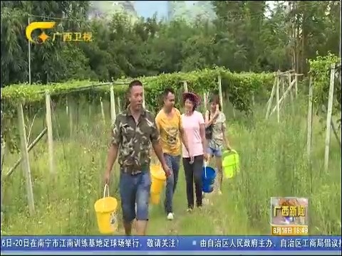 倒卖人口电影_倒卖人口宣传图片(2)