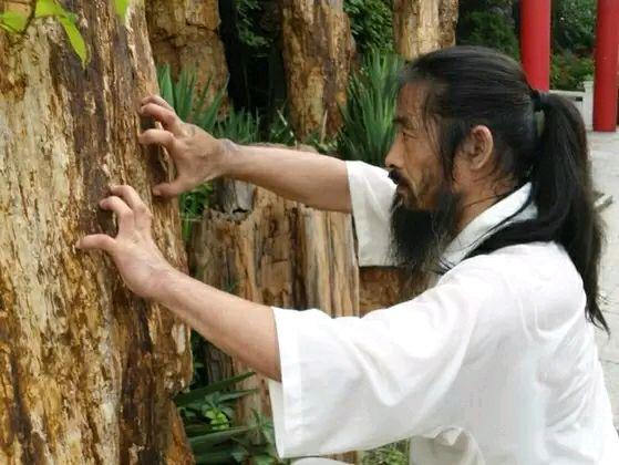 武当道长练成铁砂掌虎爪功,手掌形状恐怖绝对真功夫