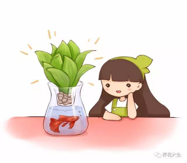 比土培简单多了 水培方法 选取健康