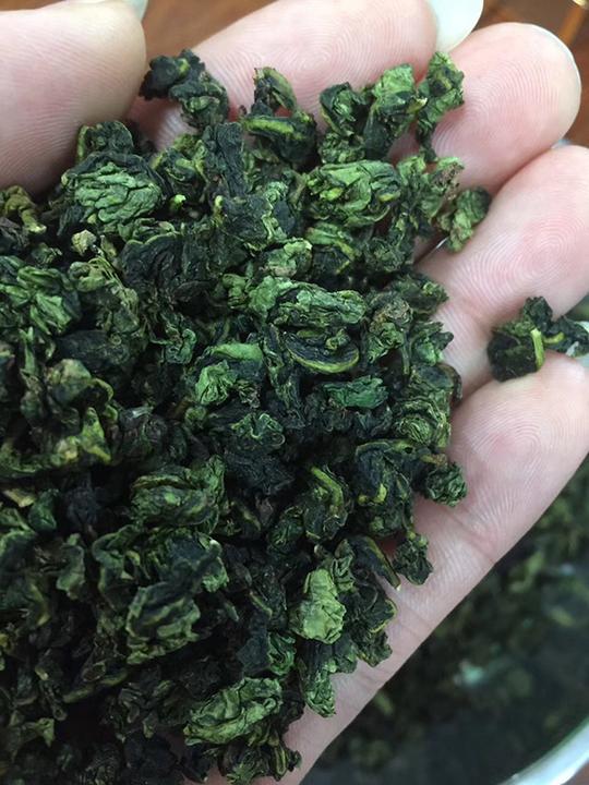 铁观音茶为什么在广东会特别好销?