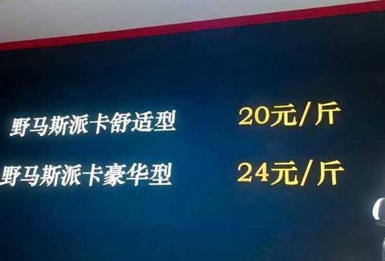 成都车展野马汽车论斤卖！看看热门汽车都多少钱一斤