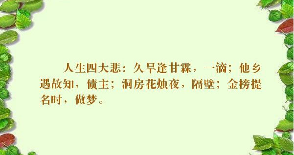 没房没车没老婆简谱_没老婆就没饭吃