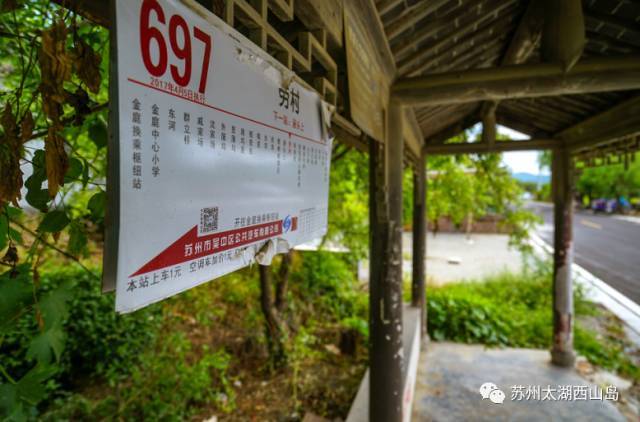 酥脆鲜甜 水分十足 苏州西山岛入秋第一果就是它啦