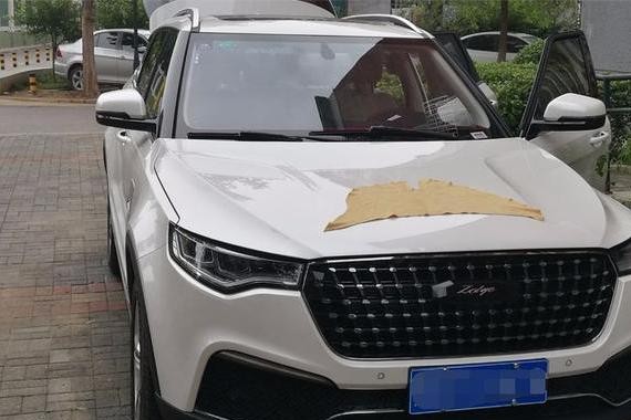 坚持买合资车，最终却提众泰T700，见到实车愣住了