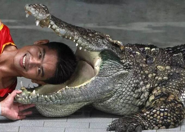 这7张照片,让我明白了勇敢和作死的区别!