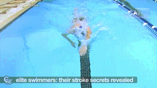 公开水域、全浸式、竞技自由泳之二