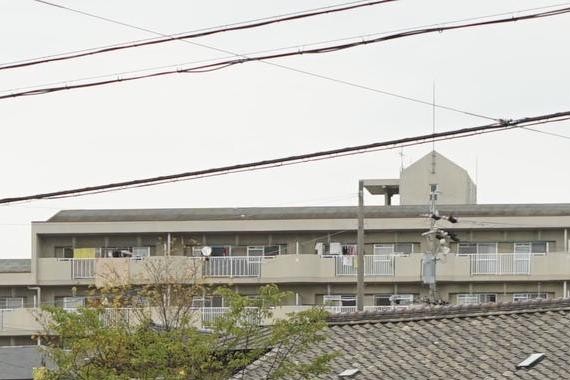 日本的汽车能开多少年，10年就报废？