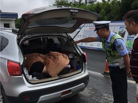 男子驾驶SUV旅游，让老婆孩子坐后备箱