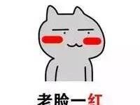 说实话，在它面前我可能不会选保时捷