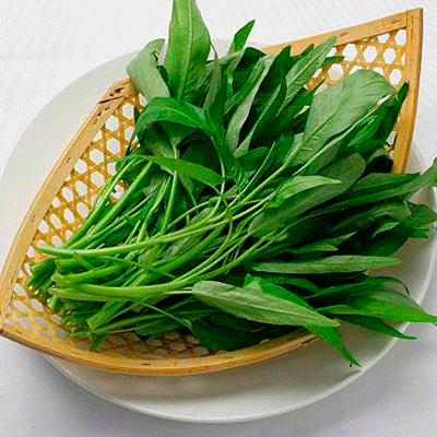 怎么炒出最好吃的空心菜?