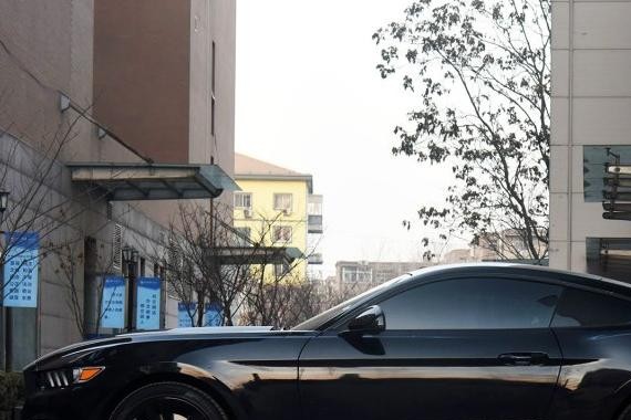 四十万的野马虽比不上豪车的推背感，但已让人兴奋了