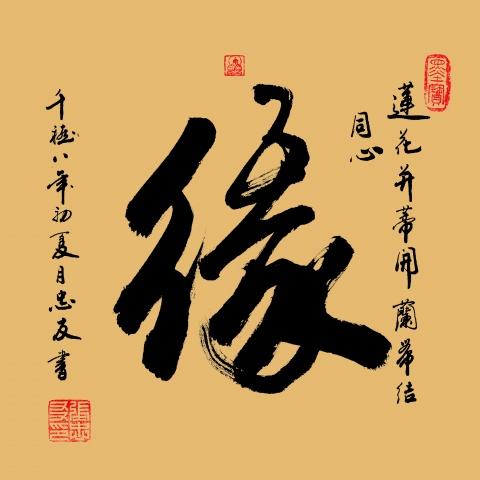 那么多国家字都失传了,中国书法为何两千年不灭?