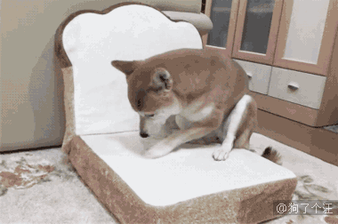 380_252gif 动态图 动图