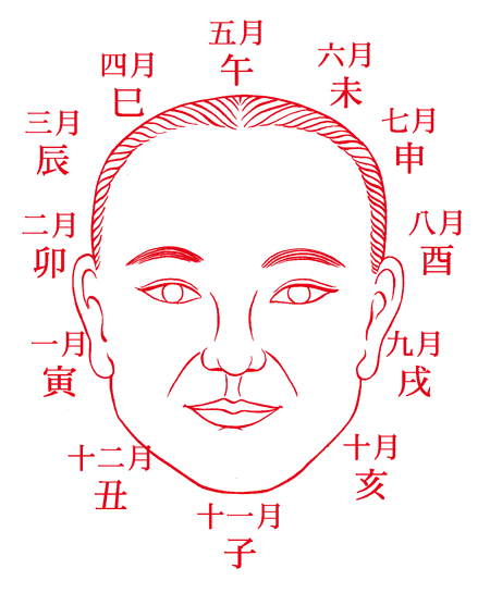 老祖宗传下来手面相口诀，看完就能自看相，收藏备用