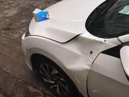 车主加价本田思域没开两天 被花盆砸还找不到责任人