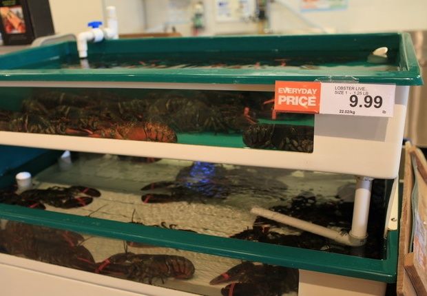 加拿大超市物价离谱,吃不起蔬菜只能吃龙虾螃