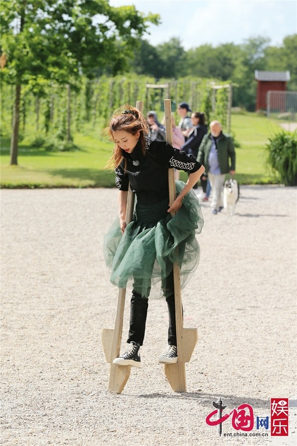 《旅途的花样》收官 张歆艺献回忆视频看哭网