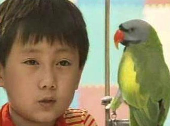 时隔25年《小龙人》主演现状，配角火了，主角匿迹了