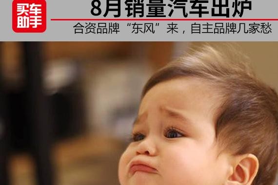 8月销量：合资品牌“东风”来，自主品牌几家愁