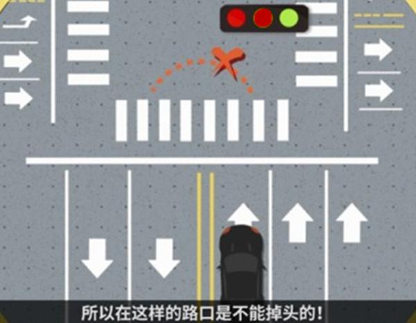 左转直行都是红灯,掉头了但没妨碍交通,为啥还被罚
