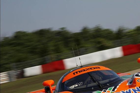 低油耗+好操控，这家的车10来20万都能做到！