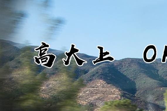 做梦都会笑，这些10几20万的省油到极致！