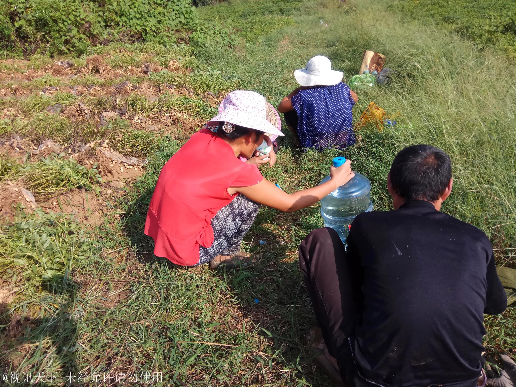 名侦探柯南人物详解及全套暗语真能避开陷阱吗