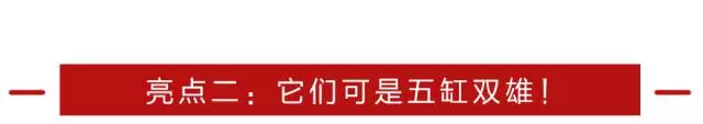 2.5T、五缸，强到没朋友！奥迪两款性能车正式上市