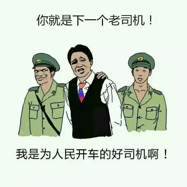 男女差别这么大,女司机这些开车习惯太有趣