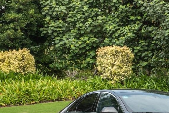 看惯了日系混动车后 这款美系车让人眼前一亮