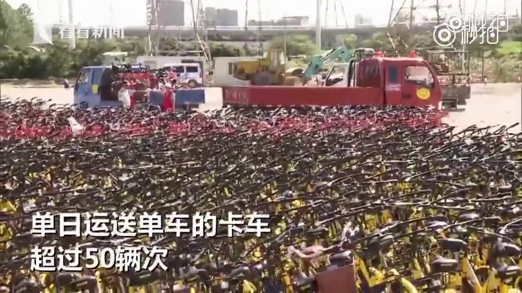 浦东单日清运乱停放的共享单车50卡车 至今不见企业来认领