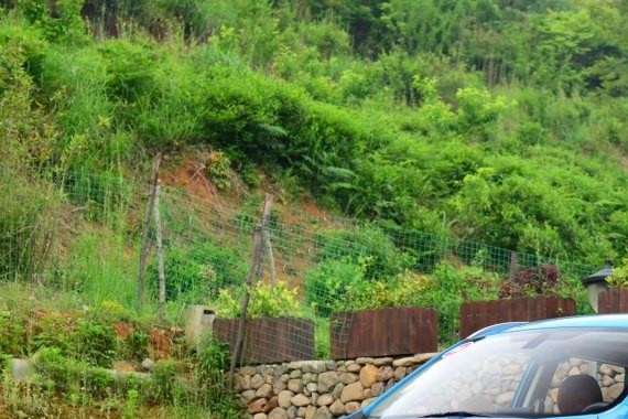 预算不多但需求不少 还好这两款车能满足你