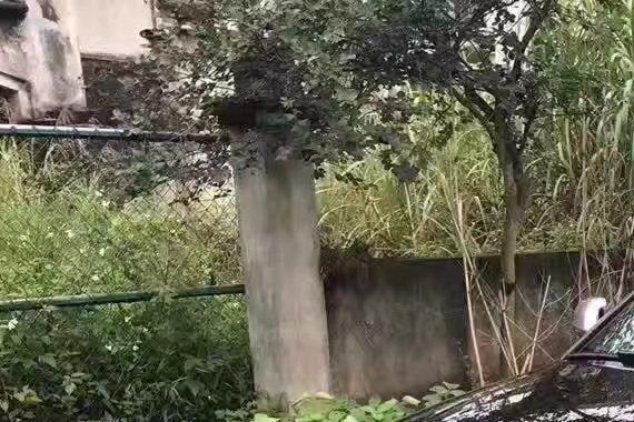 十多万买下奥迪S8，老板不再说 GO OUT了