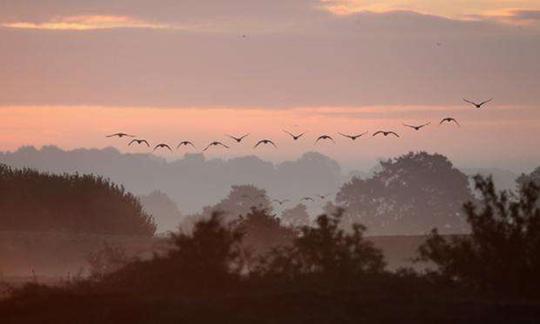 人言落日是天涯,望极天涯不见家,游子思乡的诗句