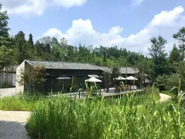 青城山新增最美民宿，初遇路之青城，一见倾心丨路之|青城|青城山|民宿|房间|水景_新浪新闻